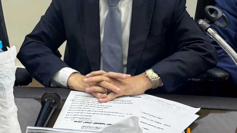 رئيس اتحاد المهن