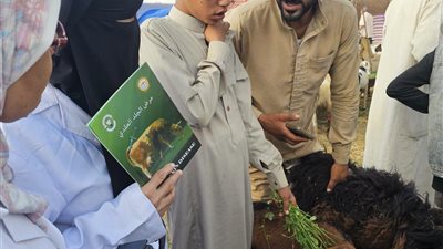 الطب البيطري بالسويس يواصل متابعة سوق الأحد بالألبان الجديدة