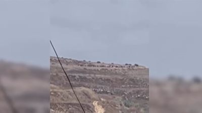 بعد إحراق مسجد في طولكرم.. المحافظ يوجه نداء عاجلا للمجتمع الدولي