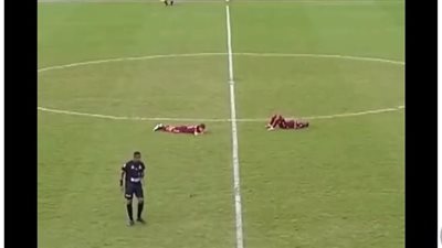اللاعبين هربوا من القرص.. هجوم من النحل يوقف مباراة كرة قدم في البرازيل