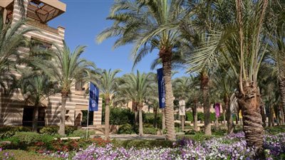 الجامعة الأمريكية بالقاهرة تطلق برنامج مساري| تفاصيل 