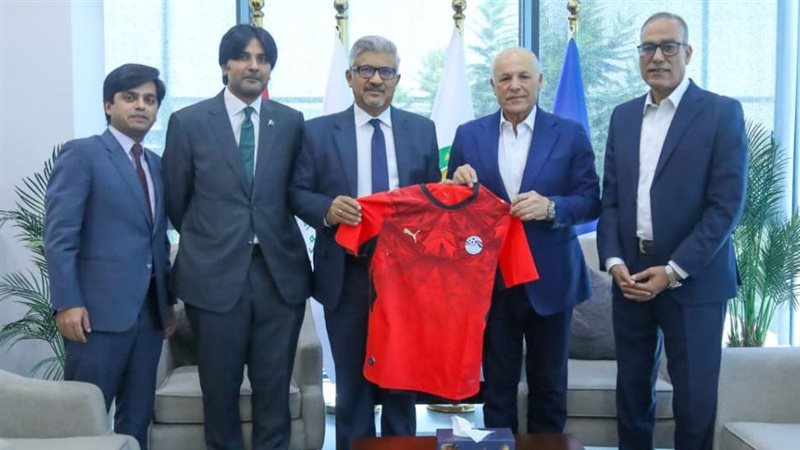 المهندس هاني أبوريدة