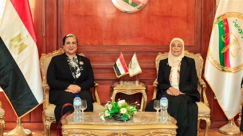 المستشارة أمل عمار