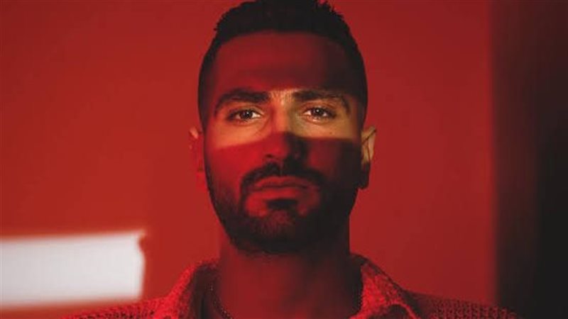 محمد الشرنوبي 