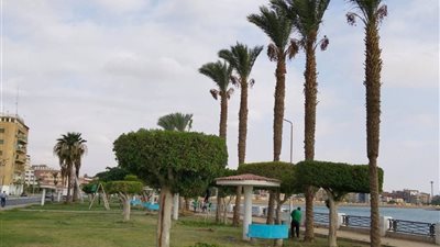 جهاز التجميل بالسويس يواصل أعمال قص وتدوير الأشجار وتقليم النخيل بالخور 