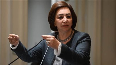 النائبة مها عبد الناصر للحكومة: أين اختفت اللافتات المرورية على الطرق الجديدة؟