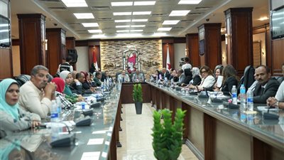 محافظة سوهاج تستعرض تجربتها لدمج ذوي الإعاقة بجائزة مصر للتميز الحكومي