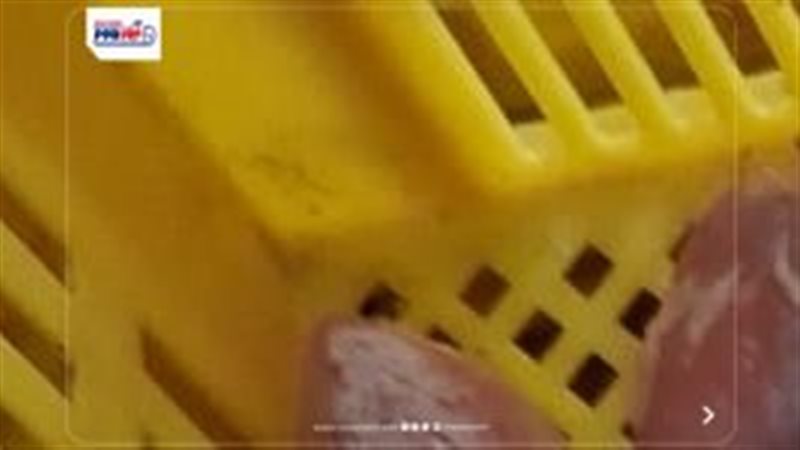 المضبوطات 
