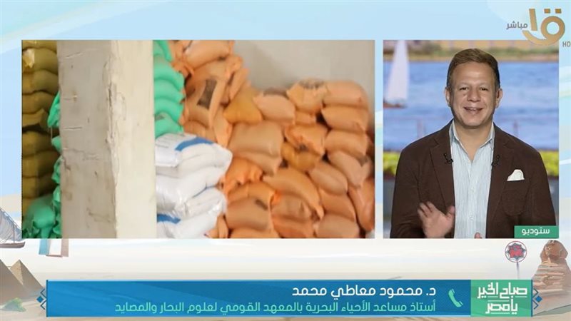 القناة الأولى المصرية