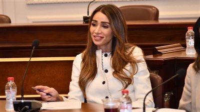  إنجي نصيف: الرئيس السيسي يقود سياسة خارجية متوازنة تعزز أمن المنطقة 