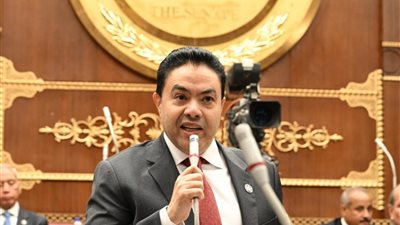 الشرقاوي: شفافية الدولة في إعلان نتائج التحقيقات يعزز ثقة المواطن بها|خاص