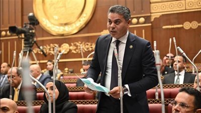 مجدي البري: الدولة تعاملت بشفافية في حادث ميناء دمياط