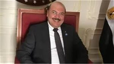 ميشيل الجمل: مصر قادرة على حماية مقدراتها ونشيد بشفافية الحكومة