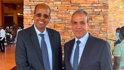 عبد العاطي يبحث مع رئيس مفوضية أفريقيا ملفات السودان والصومال