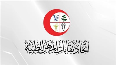 اتحاد المهن الطبية يرفع الحد الأقصى للمساهمة في مشروع العلاج إلى 70 ألف جنيه