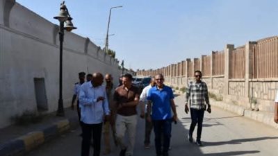 محافظ أسوان يتفقد المنطقة المحيطة بمعبد إدفو.. ويوجه بتكثيف أعمال النظافة