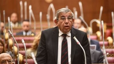 النائب علاء عبد النبي: لا لقطع الأشجار.. ويمكن تنفيذ الطرق دون المساس بها