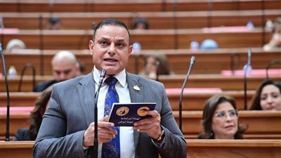 برلماني: مشروعات النقل الجماعي الأخضر تجسد رؤية الرئيس السيسي للتنمية الحديثة