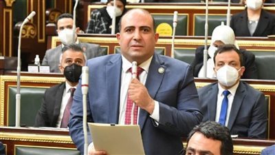 وكيل أفريقية النواب: دعوة الرئيس لدعم المسار الليبي-الليبي تعزز فرص إنهاء الانقسام