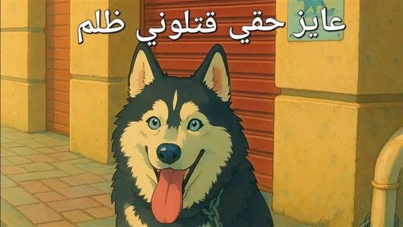 …