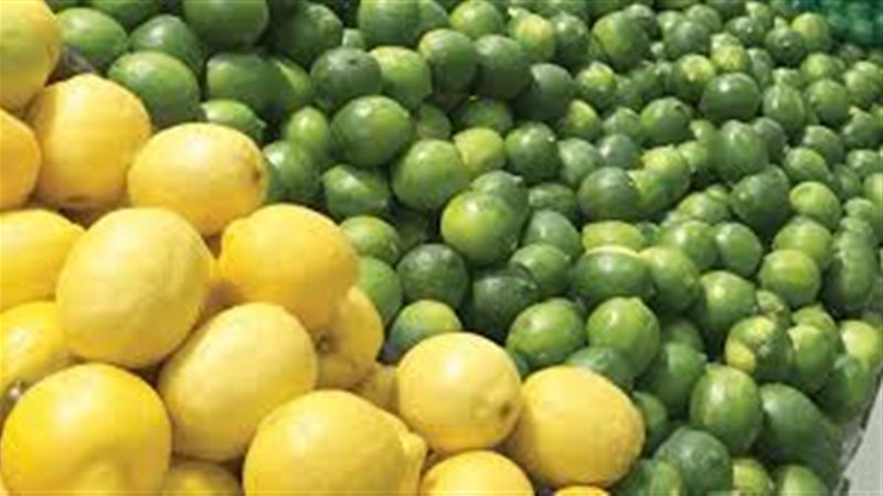 ارتفاع اسعار الليمون