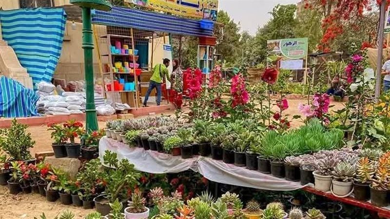 معرض زهور الربيع