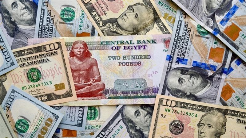 تأرجح سعر الدولار