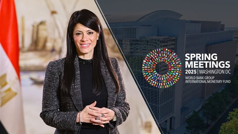 وزيرة التخطيط تصل
