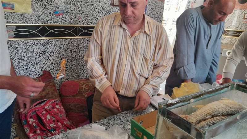 حملة قنا