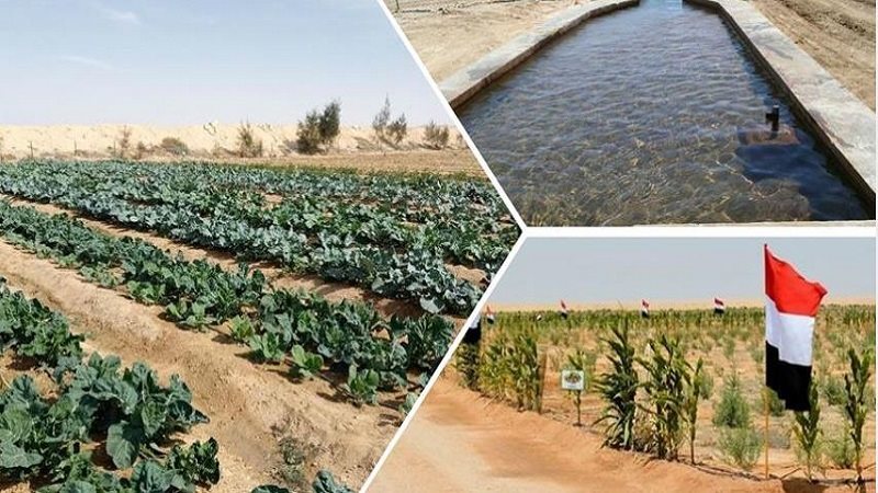 محافظة جنوب سيناء