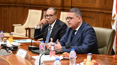 وزير الخارجية: إنجازات ملف حقوق الإنسان تعكس اهتمام الدولة بالآليات الدولية