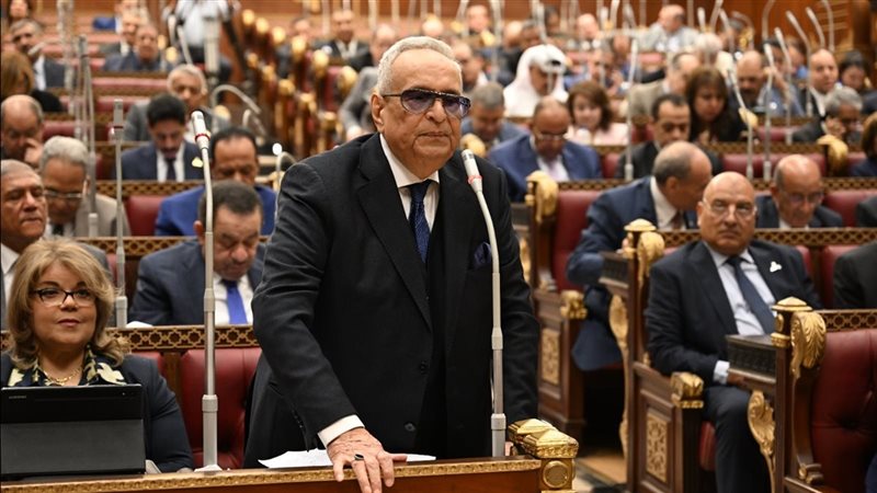 المستشار بهاء ابوشقة