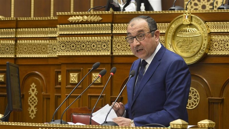 وزير قطاع الأعمال