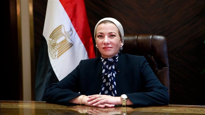 الدكتورة ياسمين فؤاد