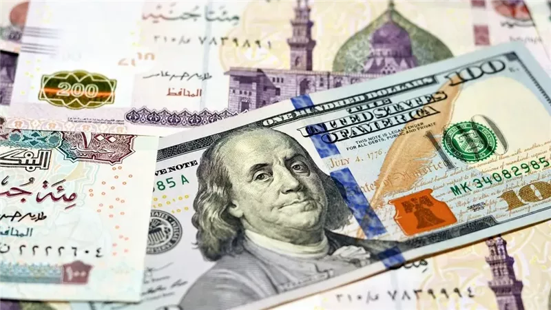 ارشيفية