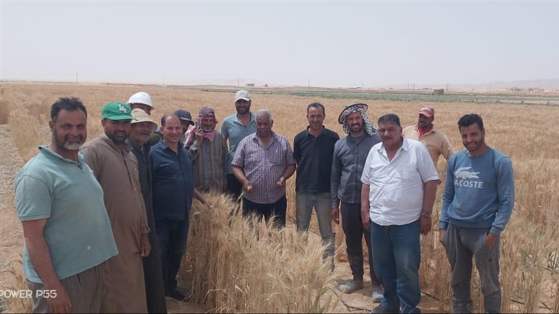 مركز بحوث الصحراء