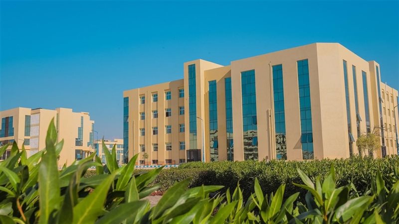 جامعة العريش