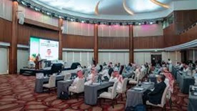 مصر تشارك في الندوة الثانية لمسارات خفض الانبعاثات الكربونية