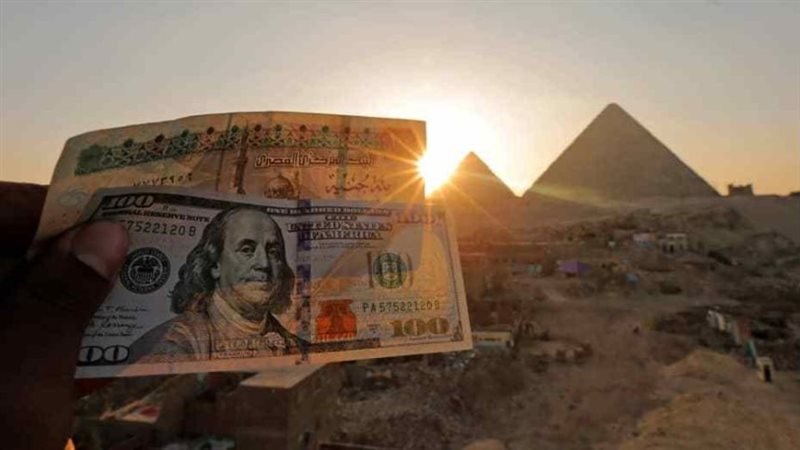 يُستحق سداد 11.1