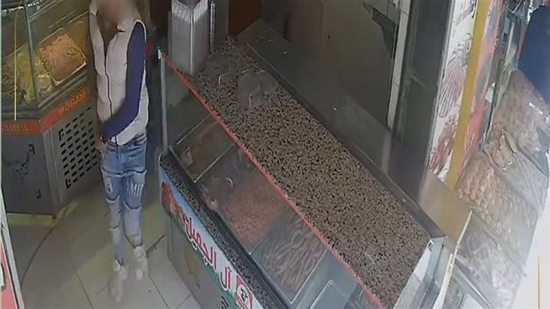 الواقعة