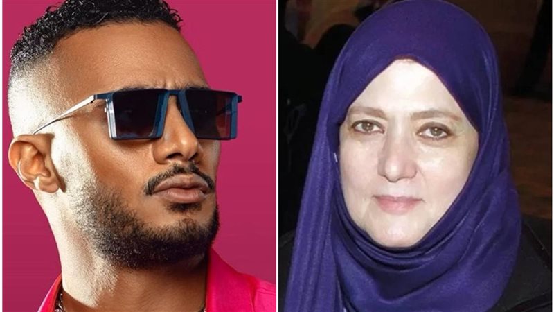 شمس البارودي ومحمد
