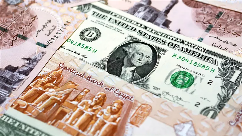 تحويلات العاملين