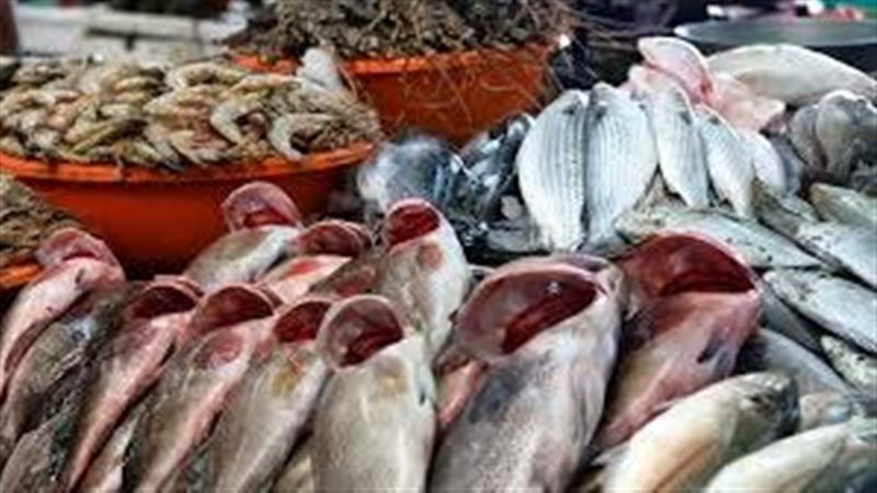 انخفاض ملحوظ في أسعار