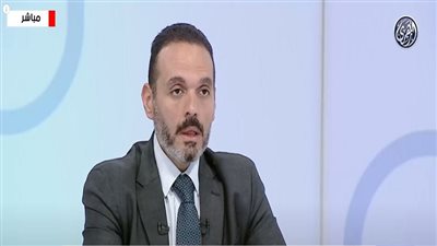 خبير اقتصادي: مصر كانت لها روية مستقبلية عندما دعت لإقامة جيش عربي مشترك