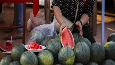 تبدأ من 75 جنيها.. شعبة الفاكهة تكشف موعد انخفاض أسعار البطيخ|خاص