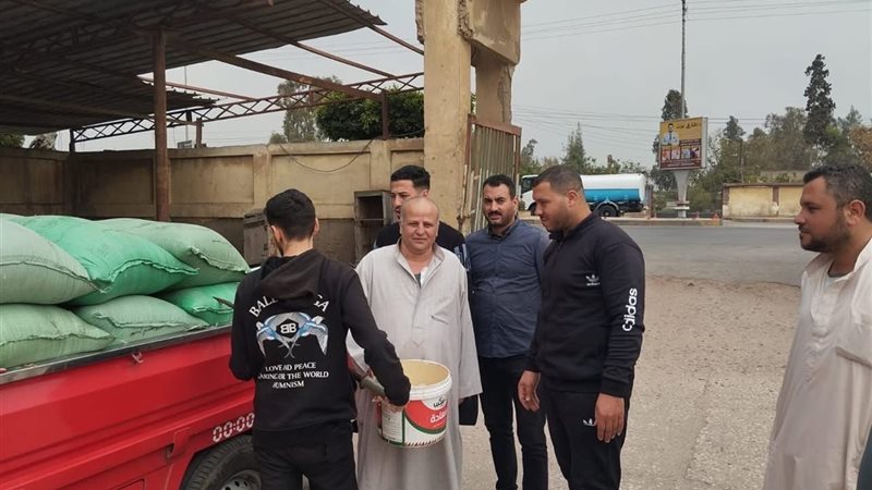 لجان توريد القمح