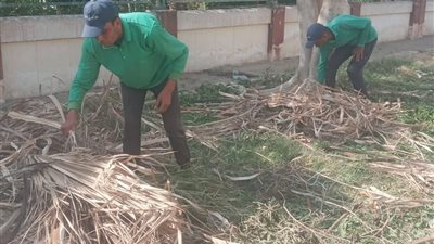 جهاز التجميل والحدائق بالسويس يواصل حملات النظافة ورفع المخلفات بجميع القطاعات