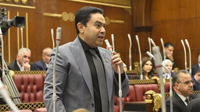 «الشجرة ليست المشكلة».. إسماعيل الشرقاوي يطالب بإعادة النظر في تخطيط الطرق