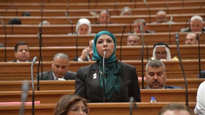 مريم العزب: قوة الدولة المصرية ووحدة الشعب هما صمام الأمان في مواجهة التحديات