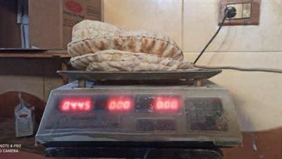 تحرير ٧ تقارير بمخالفات ضد مخابز في حملة تموينية بمحافظة بورسعيد 